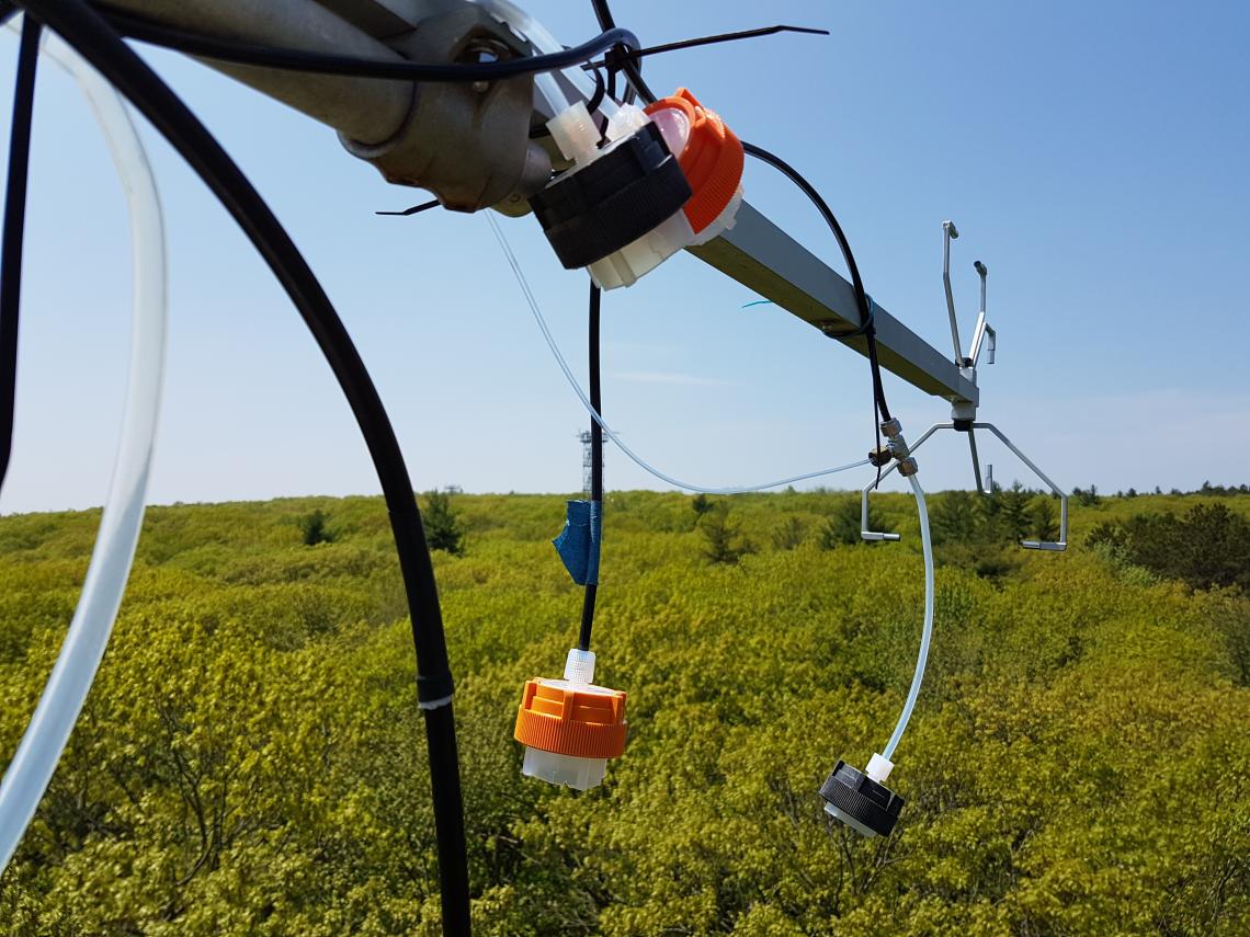 Flux towers are equipped with inlets for "sniffing the air" above the forest, in addition to other instruments such as sonic anemometers for measuring wind. 